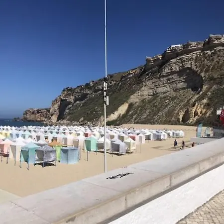 Casa Olivia Partida *