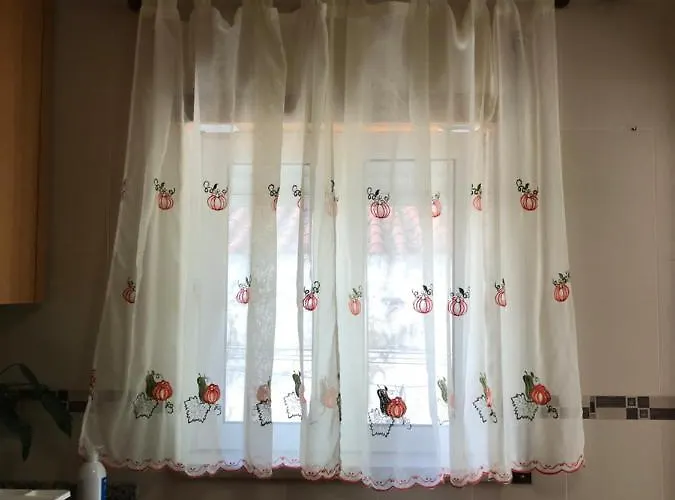 Casa Olivia Partida נאזרה